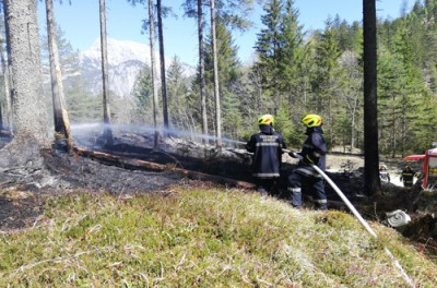 Waldbrand Johnsbach