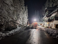 Baum auf der L 713 | Kaiserauer Landesstraße
