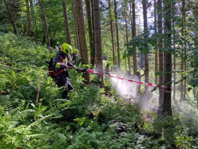 Gesamtübung: Waldbrand in Aigen